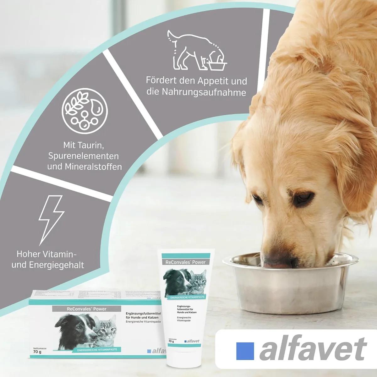 Werbegrafik aus der Amazon-Galerie: Hund am Napf, Hinweise „Fördert den Appetit und die Nahrungsaufnahme“, „Mit Taurin, Spurenelementen und Mineralstoffen“, „Hoher Vitamin- und Energiegehalt“