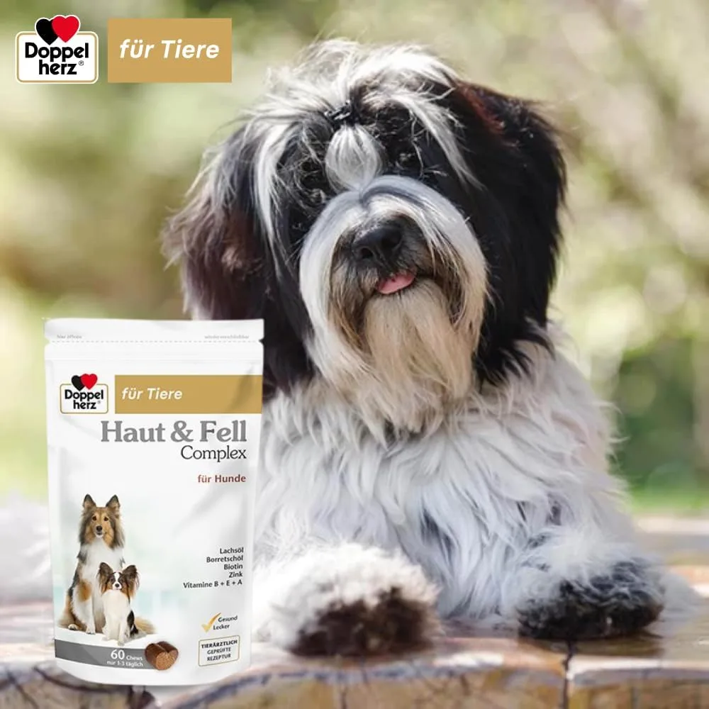Werbegrafik mit Hund und Beutel Doppelherz Haut & Fell Complex